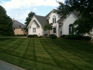 Belton MO lawn mowing